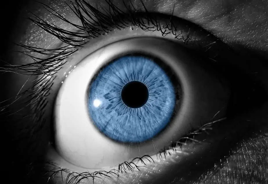What is Aperture in Photography? Clousup of a blue eye, iris and pupil.