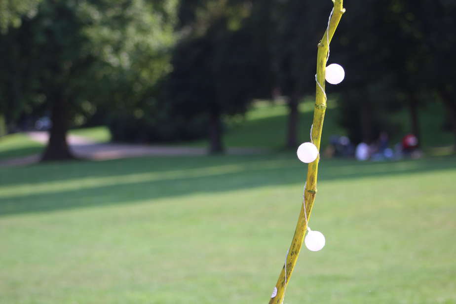 What is Aperture in Photography? Three spherical lights tied to a stick against a blurred park background.