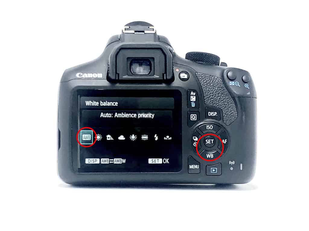 How to set the Auto white balance on a Canon EOS camera
