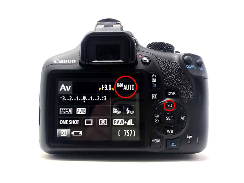 What is exposure compensation? Auto ISO leaves the ISO selection to the cameras light meter.