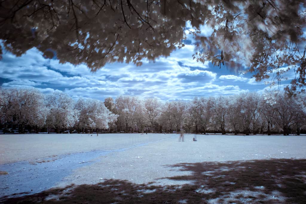 Infrared Photography With Filter on DSLR. Colour infrared photo.