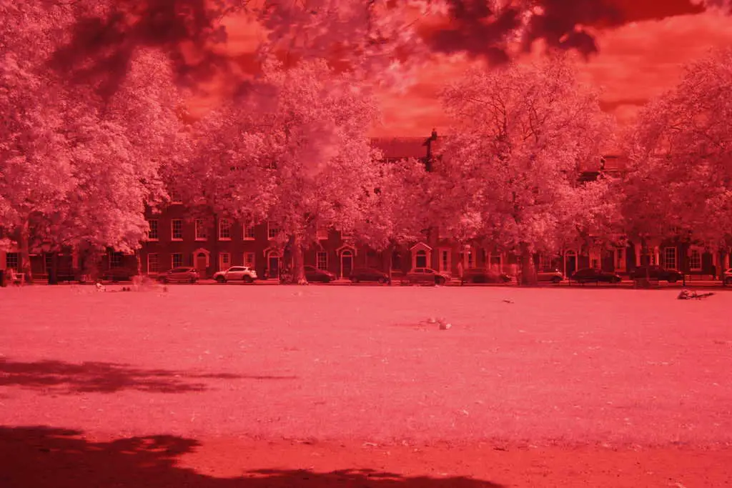 Infrared Photography With Filter on DSLR. Infrared photo before editing.