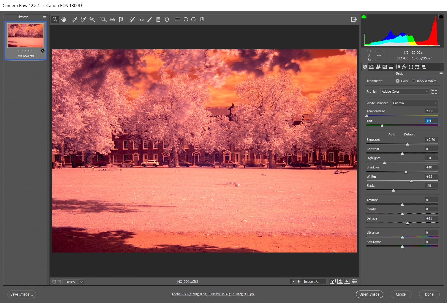 Infrared Photography With Filter on DSLR. Infrared photo edited in "Camera RAW".