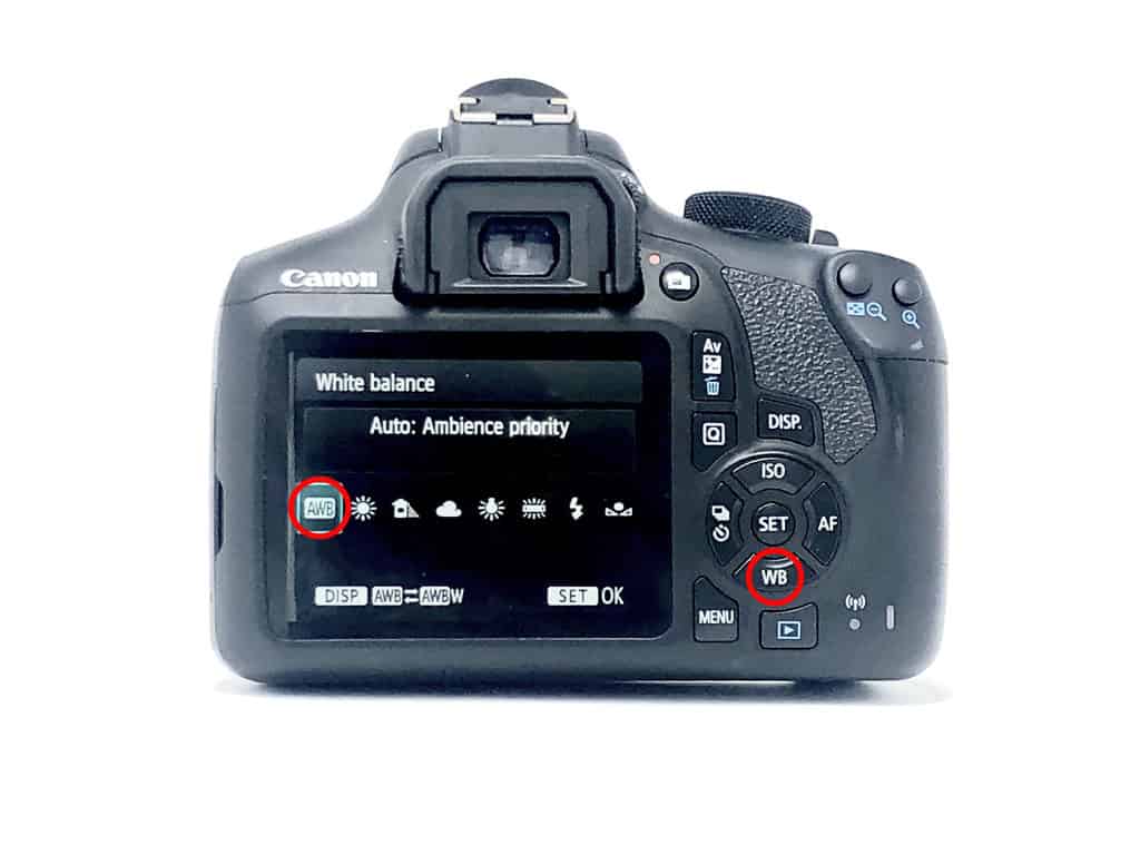 What is White Balance in Digital Photography? Auto white balance setting DSLR camera.