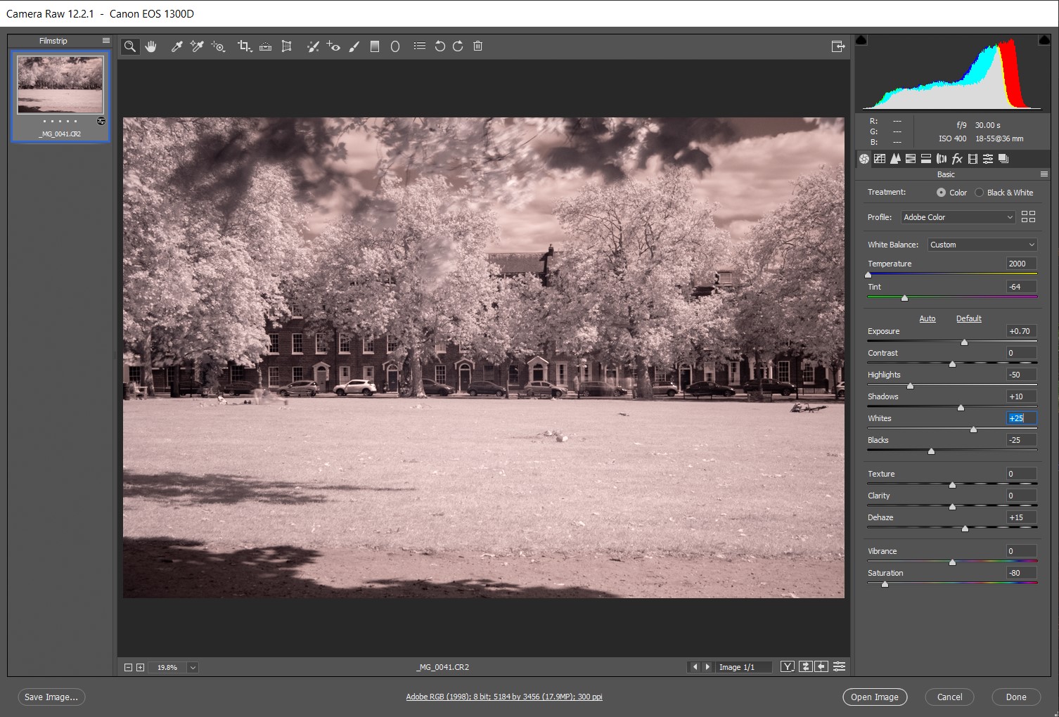 Infrared Photography With Filter on DSLR. Desaturated black and white infrared photo.