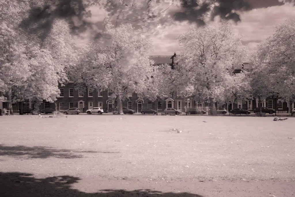 Infrared Photography With Filter on DSLR. Softened, desaturated black and white infrared photo.