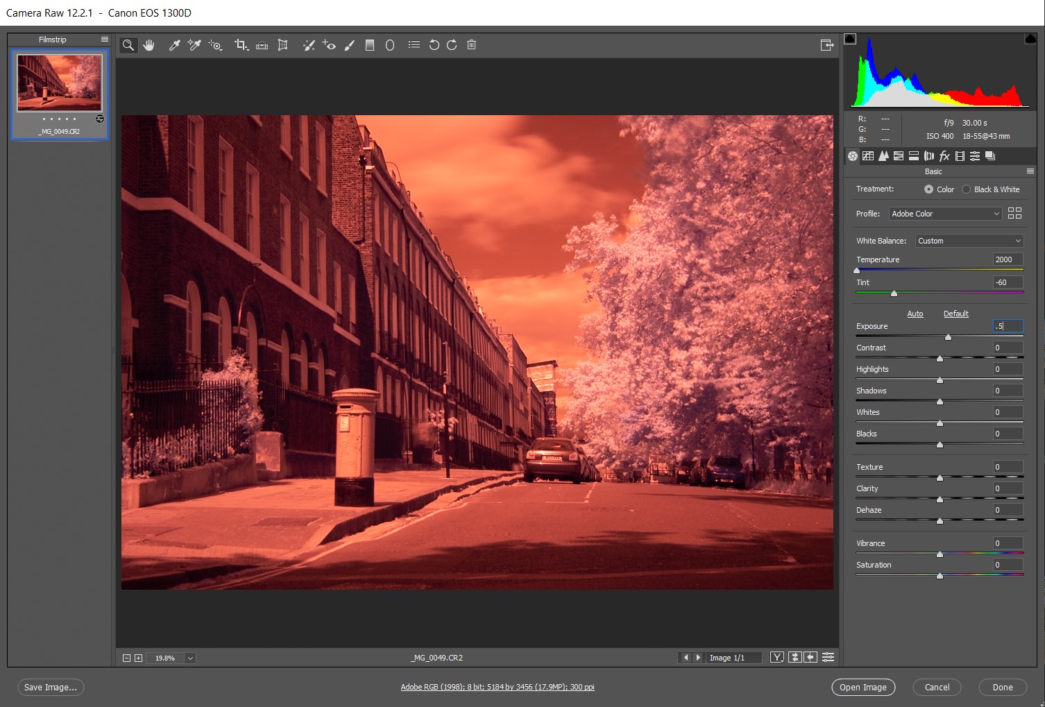 Infrared Photography With Filter on DSLR. Colour infrared opened in "Camera RAW" has a red colour cast.