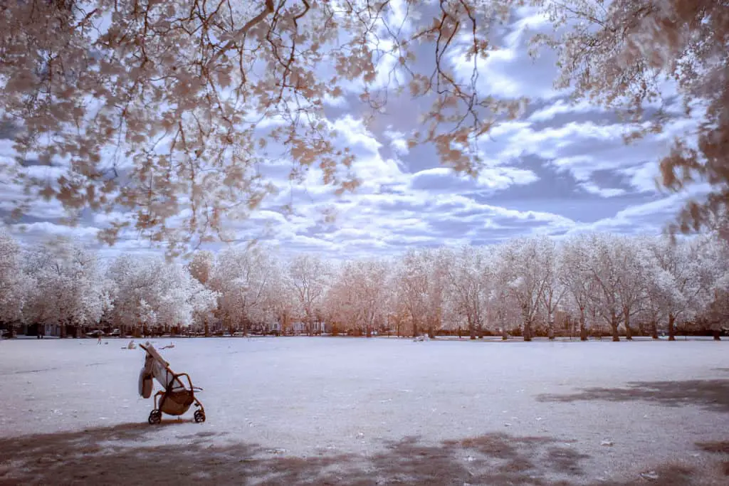 Infrared Photography With Filter on DSLR. Exapmple of a colour swapped infrared photograph. Snow white trees.