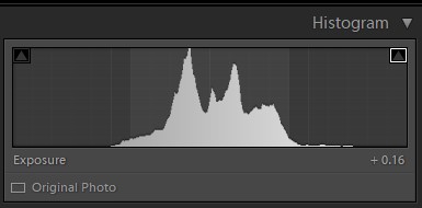 What is ETTR in Photography? Histogram with central hump.