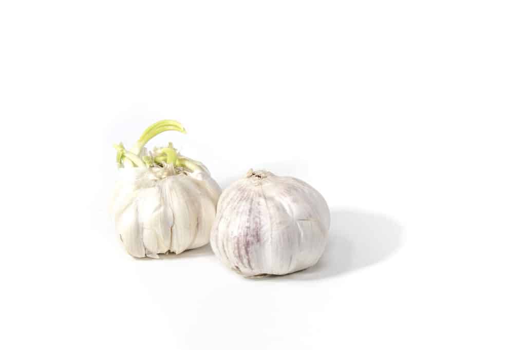 How to Take High Key Photos! Studio photograph, garlic bulbs.