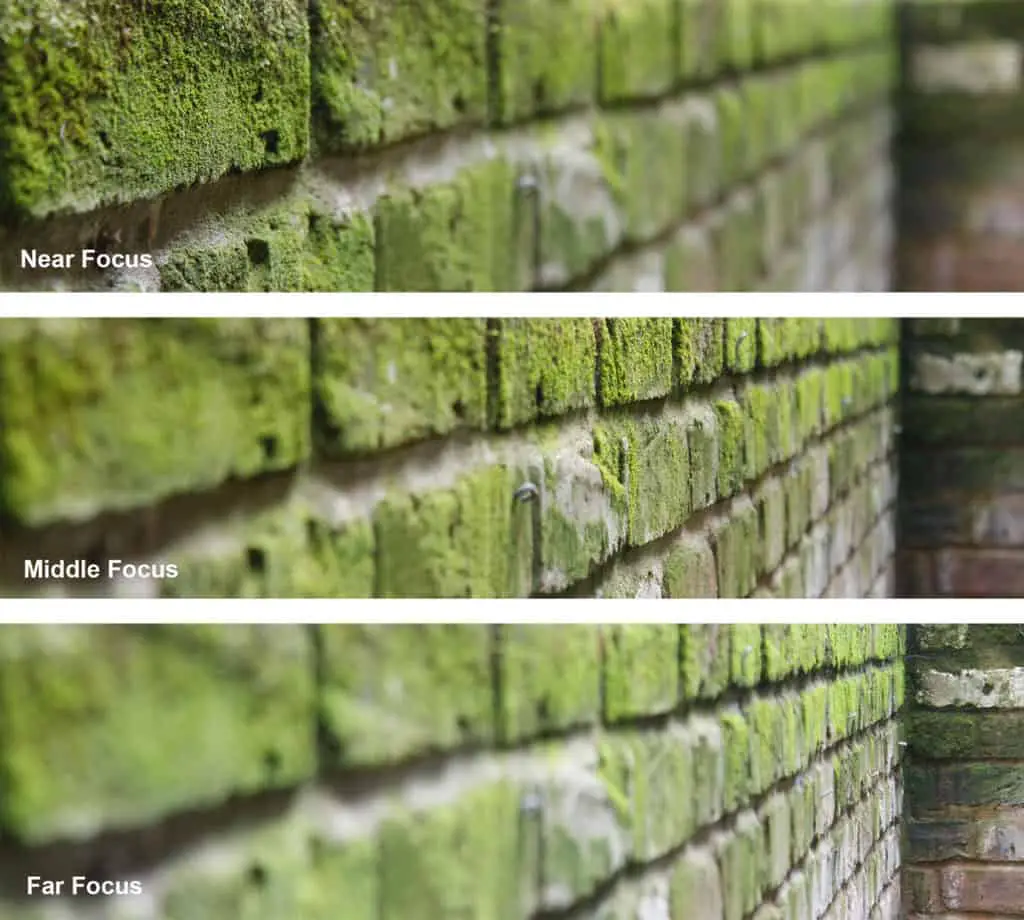 How do You Successfully Bracket in Photography? Focus bracketing of a mossy wall.