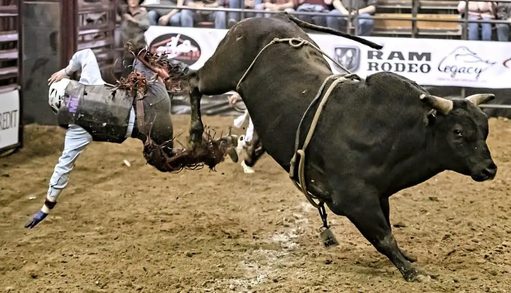 How to Successfully Freeze Action in Photography! Dramatic bull and cowboy action frozen at 1/1000th of a second.