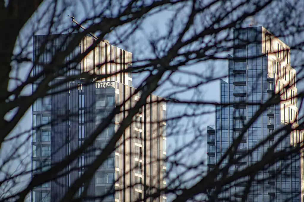 How to Blur Foreground With a DSLR! Distant tower buildings seen through winter tree branches.