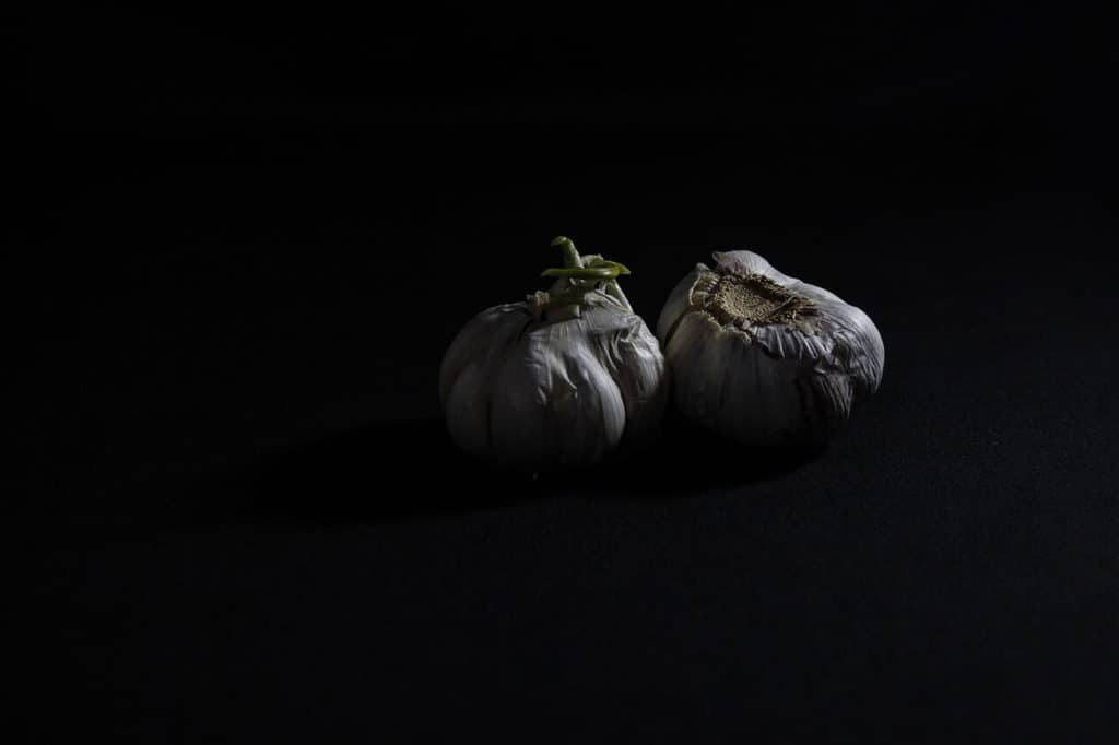 What is a Snoot in Photography? Single snoot light low key garlic bulbs.
