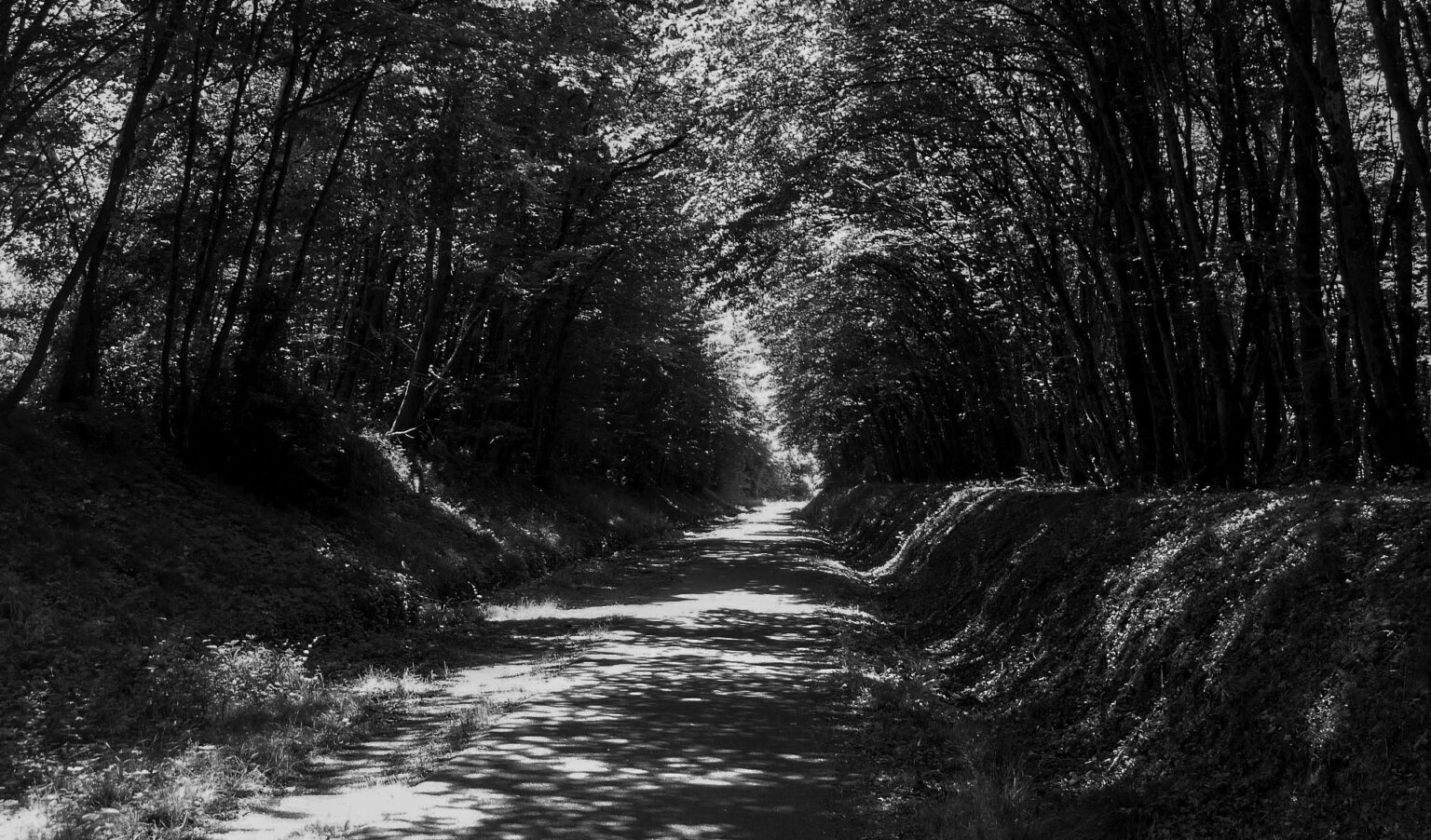 What Is A Gobo In Photography And How To Use It? Photography Skool