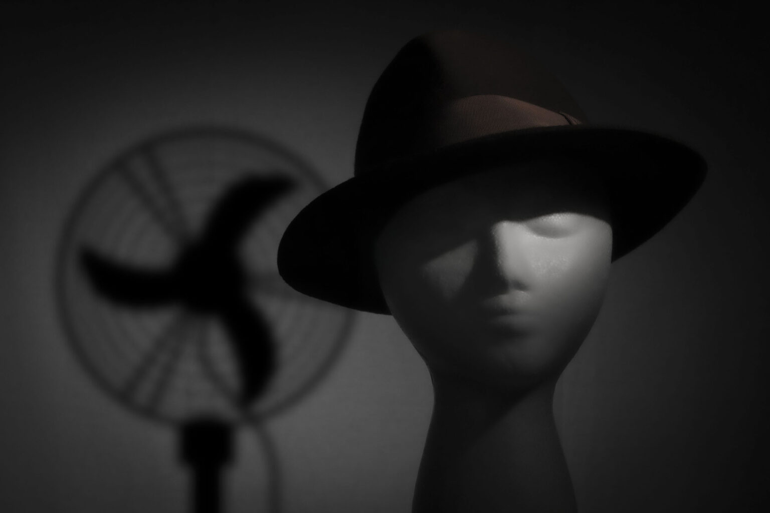 What Is A Gobo In Photography And How To Use It? Photography Skool