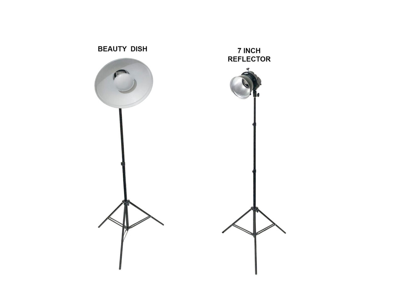 The Complete Guide to Paramount Lighting. Beauty dish and 7-inch reflector on stands.