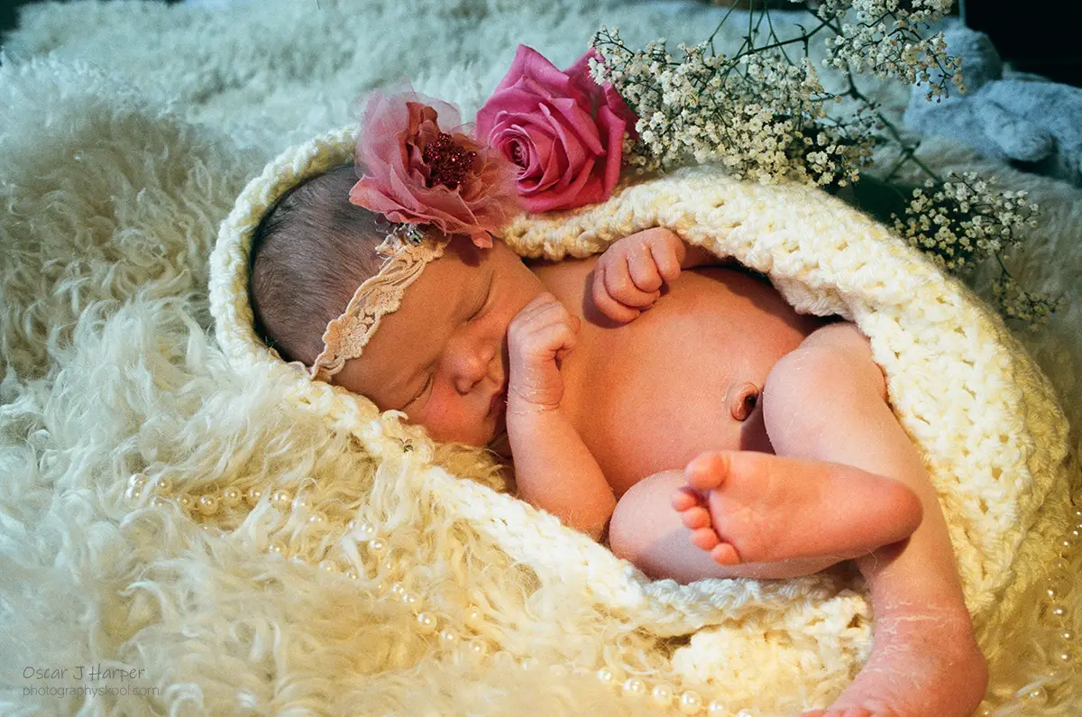 Best Time for Newborn Photos! Use headband, flowers and toy props.