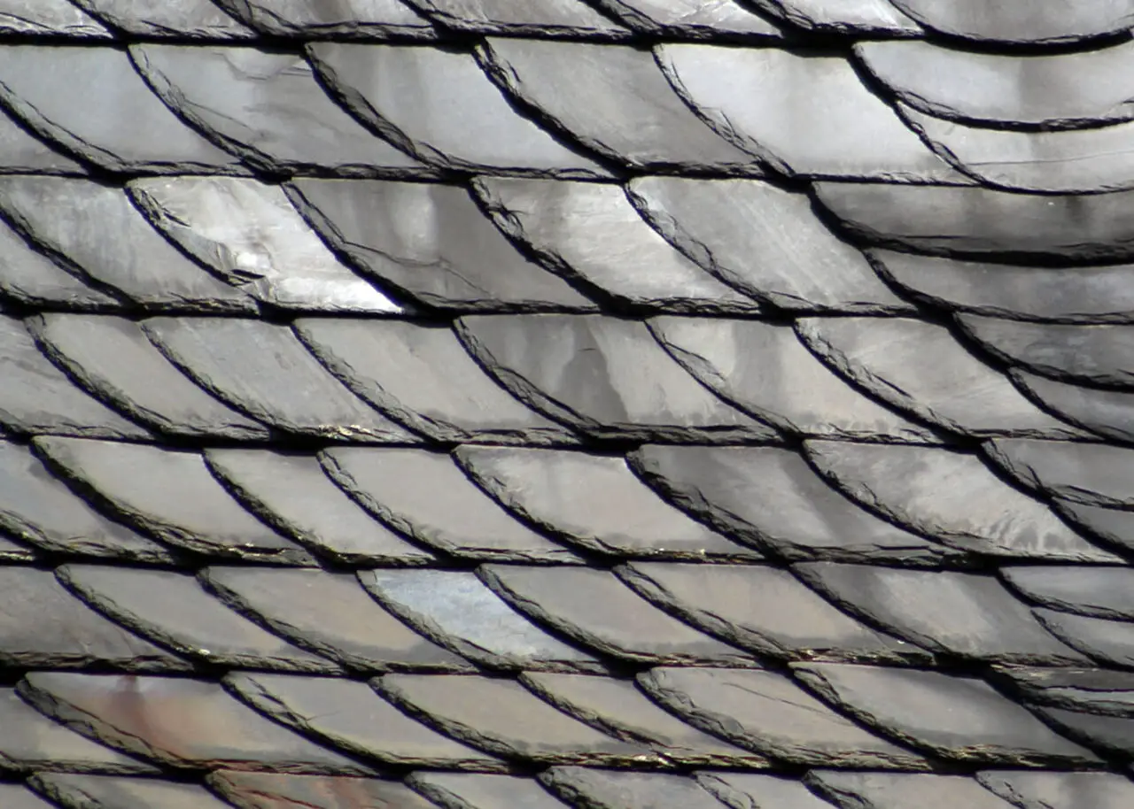 A strongly contrasted pattern of curving, slate roof tiles.
